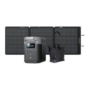 EcoFlow DELTA 2 + 160W Portable Solar Panel + Free Bag